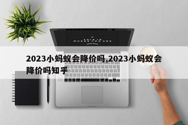 2023小蚂蚁会降价吗,2023小蚂蚁会降价吗知乎