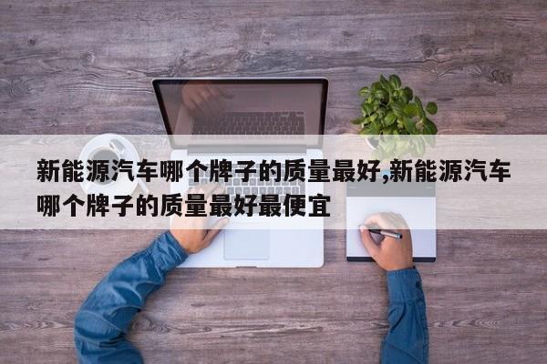 新能源汽车哪个牌子的质量最好,新能源汽车哪个牌子的质量最好最便宜