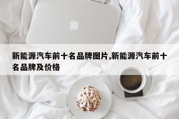 新能源汽车前十名品牌图片,新能源汽车前十名品牌及价格