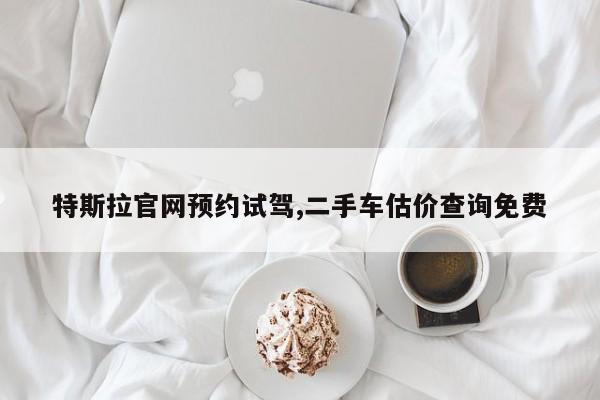 特斯拉官网预约试驾,二手车估价查询免费