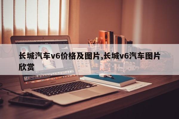 长城汽车v6价格及图片,长城v6汽车图片欣赏