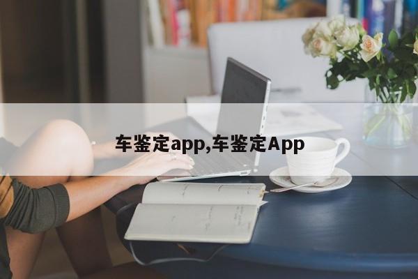 车鉴定app,车鉴定App