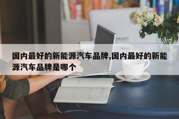 国内最好的新能源汽车品牌,国内最好的新能源汽车品牌是哪个