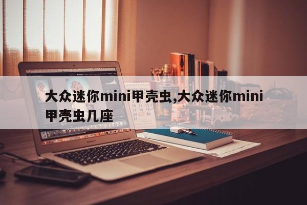 大众迷你mini甲壳虫,大众迷你mini甲壳虫几座