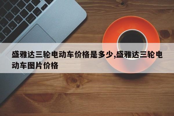 盛雅达三轮电动车价格是多少,盛雅达三轮电动车图片价格