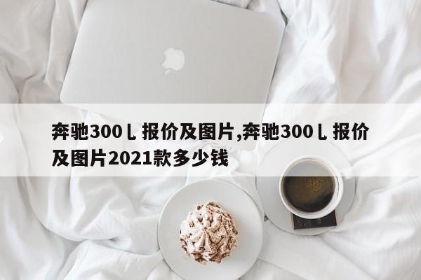 奔驰300乚报价及图片,奔驰300乚报价及图片2021款多少钱