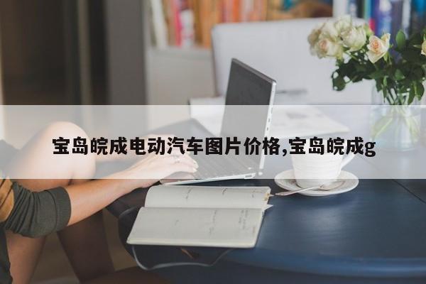 宝岛皖成电动汽车图片价格,宝岛皖成g