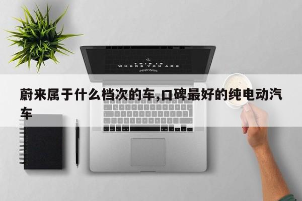 蔚来属于什么档次的车,口碑最好的纯电动汽车
