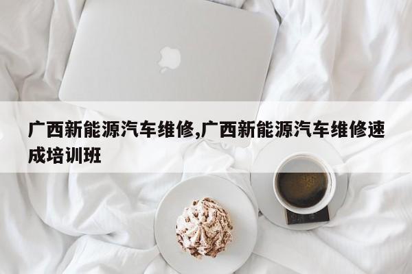 广西新能源汽车维修,广西新能源汽车维修速成培训班