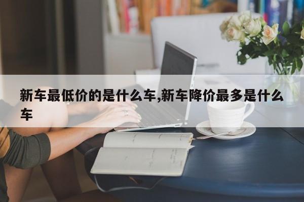 新车最低价的是什么车,新车降价最多是什么车