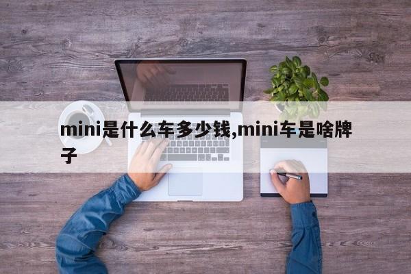 mini是什么车多少钱,mini车是啥牌子