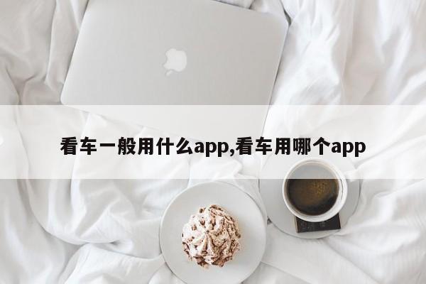 看车一般用什么app,看车用哪个app