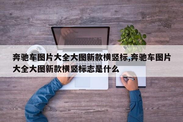 奔驰车图片大全大图新款横竖标,奔驰车图片大全大图新款横竖标志是什么