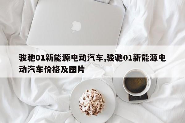 骏驰01新能源电动汽车,骏驰01新能源电动汽车价格及图片
