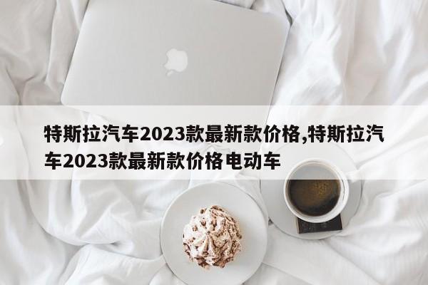 特斯拉汽车2023款最新款价格,特斯拉汽车2023款最新款价格电动车