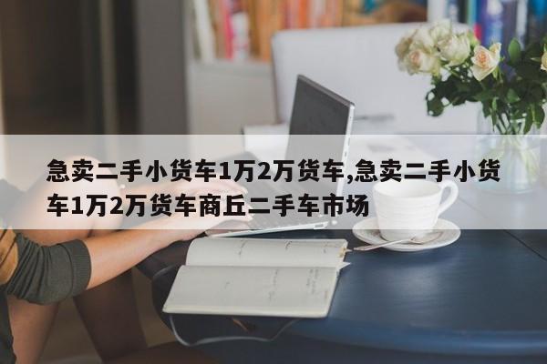 急卖二手小货车1万2万货车,急卖二手小货车1万2万货车商丘二手车市场