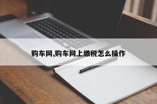 购车网,购车网上缴税怎么操作