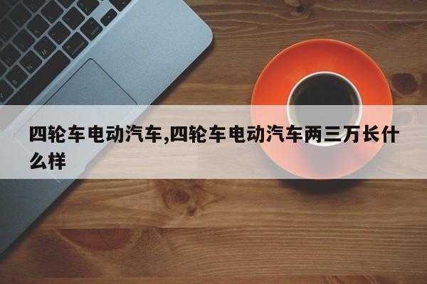 四轮车电动汽车,四轮车电动汽车两三万长什么样