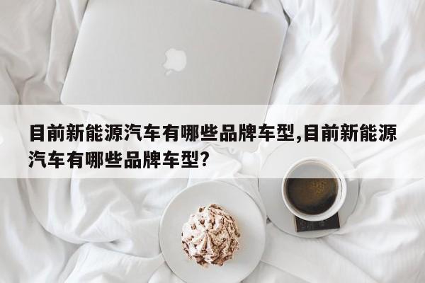 目前新能源汽车有哪些品牌车型,目前新能源汽车有哪些品牌车型?