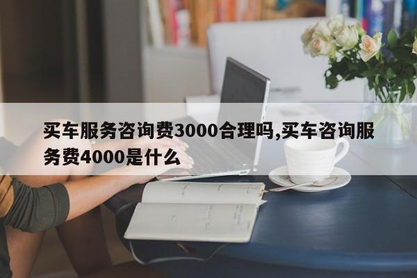 买车服务咨询费3000合理吗,买车咨询服务费4000是什么