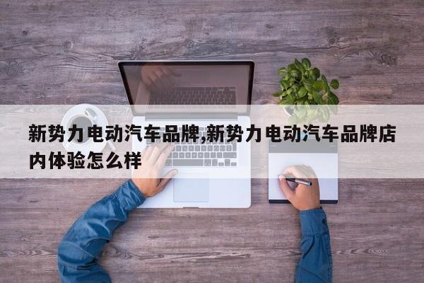 新势力电动汽车品牌,新势力电动汽车品牌店内体验怎么样