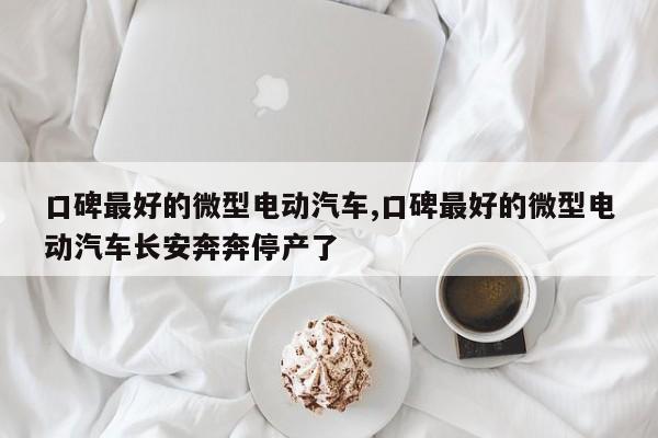 口碑最好的微型电动汽车,口碑最好的微型电动汽车长安奔奔停产了