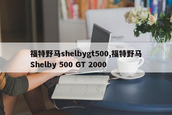 福特野马shelbygt500,福特野马Shelby 500 GT 2000