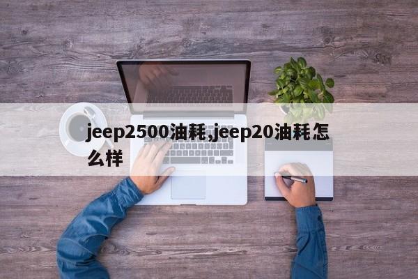 jeep2500油耗,jeep20油耗怎么样