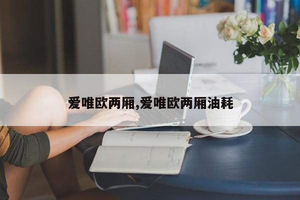 爱唯欧两厢,爱唯欧两厢油耗
