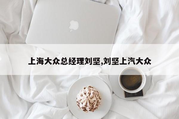 上海大众总经理刘坚,刘坚上汽大众