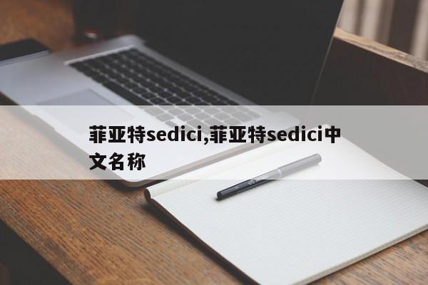 菲亚特sedici,菲亚特sedici中文名称