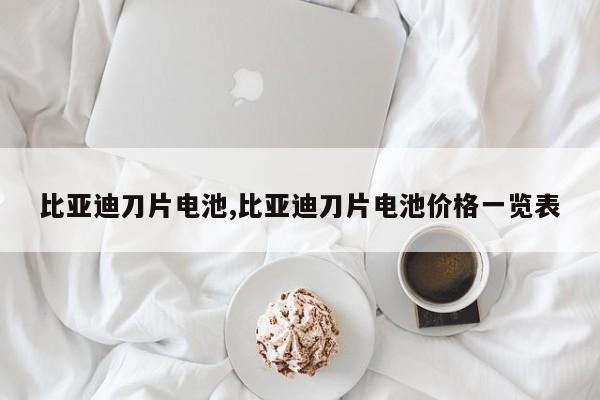 比亚迪刀片电池,比亚迪刀片电池价格一览表