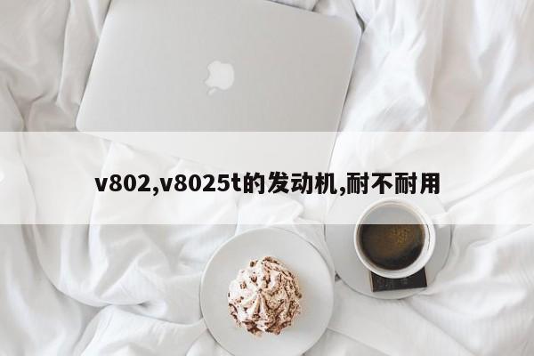 v802,v8025t的发动机,耐不耐用