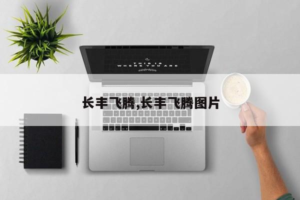 长丰飞腾,长丰飞腾图片
