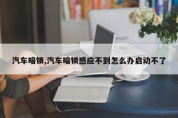 汽车暗锁,汽车暗锁感应不到怎么办启动不了
