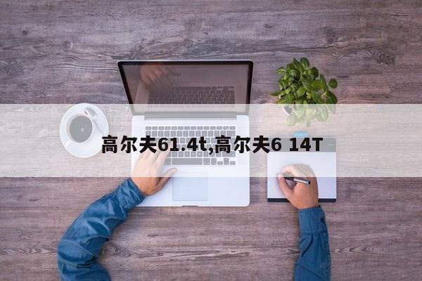 高尔夫61.4t,高尔夫6 14T