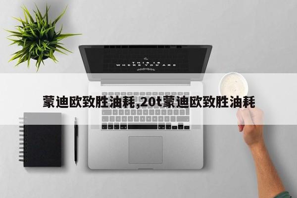 蒙迪欧致胜油耗,20t蒙迪欧致胜油耗