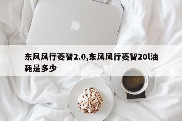 东风风行菱智2.0,东风风行菱智20l油耗是多少