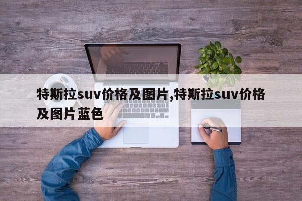 特斯拉suv价格及图片,特斯拉suv价格及图片蓝色