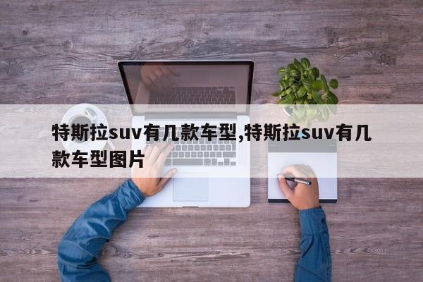 特斯拉suv有几款车型,特斯拉suv有几款车型图片