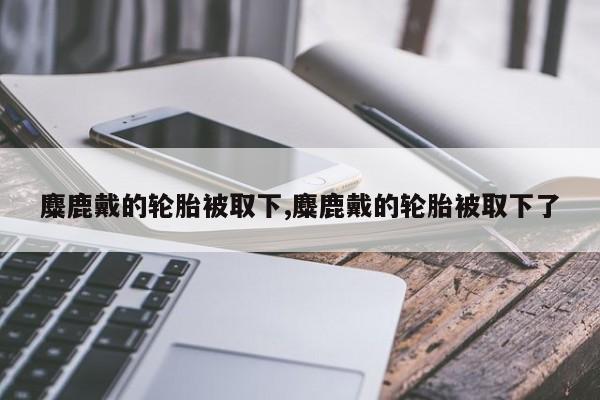 麋鹿戴的轮胎被取下,麋鹿戴的轮胎被取下了