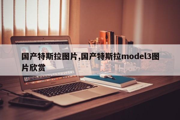 国产特斯拉图片,国产特斯拉model3图片欣赏