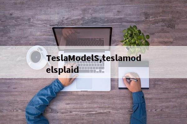 TeslaModelS,teslamodelsplaid