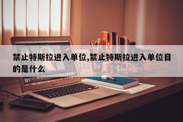 禁止特斯拉进入单位,禁止特斯拉进入单位目的是什么