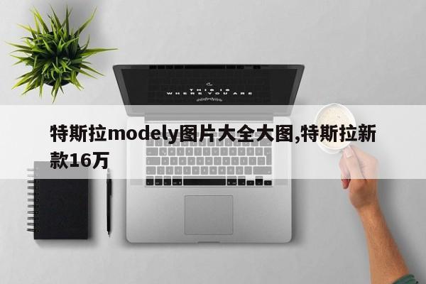 特斯拉modely图片大全大图,特斯拉新款16万