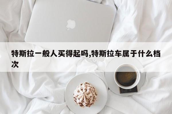 特斯拉一般人买得起吗,特斯拉车属于什么档次