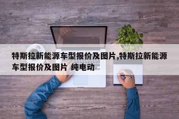 特斯拉新能源车型报价及图片,特斯拉新能源车型报价及图片 纯电动