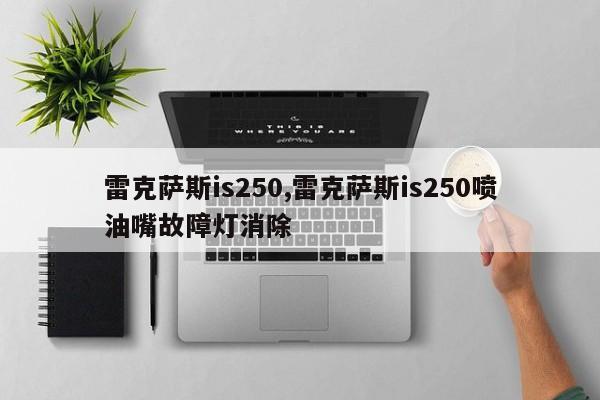 雷克萨斯is250,雷克萨斯is250喷油嘴故障灯消除