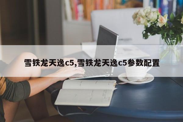 雪铁龙天逸c5,雪铁龙天逸c5参数配置