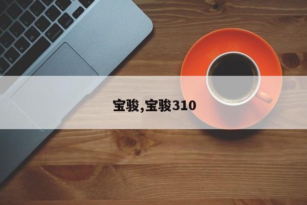 宝骏,宝骏310
